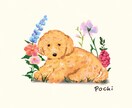 大切なペットを温もりあふれるイラストで描きます 花言葉に願いを込めて、イラストを描きます。 イメージ1