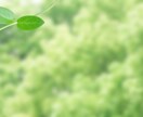 LINE感覚でメッセージ★します 【トークルーム】で話しませんか？ イメージ3