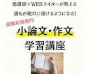 全受験対応の小論文・作文の添削＆指導をします 書くことが苦手でも簡単に素早く文章が書ける「高速構成文章術」 イメージ1