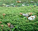 看護の大学院生活、研究についてお教えします 大学院に進学するか迷っている方、研究は難しいと思っている方へ イメージ1