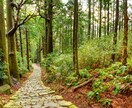 複雑な恋愛のお悩みを霊視します この恋を信じ続けてもいいのか。二人の未来を読み解きます イメージ9