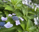 彼ができても続かない…そんな恋愛の原因を占います 恋愛がうまく行かない…原因をタロットに聞いてみましょう。 イメージ1
