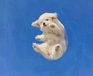 愛犬や愛猫、ペットの写真を　油絵　でデザインします 世界に一つだけの愛するペットをデザインさせてください！ イメージ1