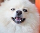 あなたを否定せず、ただ静かに話を聞きます 不安・愚痴・寂しさ、途中で切っても大丈夫です イメージ3