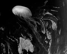 モノクロのアートや写真撮影します お好きなイメージのアートや写真をつくります イメージ4