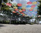 愚痴・相談聞きます JADP認定メンタル心理カウンセラー取得☻お聞きします。 イメージ2