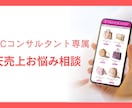 現役ECコンサルタントが楽天の売上相談受けます 楽天の売上に悩んでいる方へのお悩み相談を受けます イメージ1