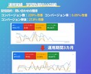 現役プロがGoogleリスティング広告を運用します ≪実績200社以上≫上級ウェブ解析士-現役広告代理店の責任者 イメージ8