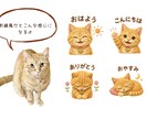 ペットの写真からかわいいLINEスタンプ作ります 水彩？刺繍風？パンチニードル風？好きな質感を選べます イメージ5