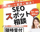 SEOのスポット相談(ビデオチャット)を承ります SEO認定コンサルが直接回答！SEOの疑問や悩みを伺います イメージ1