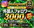 Instagramフォロワーを3000人増加します Instagramフォロワー3000人増加！減少保証あり！ イメージ1