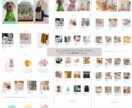 STUDIOでWebサイトを制作します HPに関連するイラストやロゴデザインもご相談下さい。 イメージ7