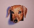 あなたのペットが色紙から【飛び出す絵】を描きます 参考画像のような色紙画面から飛び出して見えるアナログ画です イメージ9