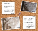 格安で風景写真レタッチします 1枚100円で風景写真を幻想的にレタッチします！ イメージ5