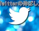 Twitterの伸ばし方教えます 長時間Twitterに割けなくてもなるべく効率良く運用を イメージ1
