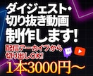 ダイジェスト・切り抜き動画、制作します それぞれの配信者に寄り添い、最適な仕上げを イメージ1