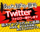 Twitterフォロワーを250人以上増やします 【6月限定価格】外国・捨て垢無し！最大インプ9万弱！自然4 イメージ1