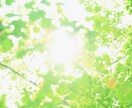 あの人の気持ち。霊感タロットで読み解きます 恋愛成就、復縁。一緒に作戦会議をしましょう。 イメージ1