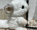 ぬいぐるみ制作致します オリジナルぬいぐるみ制作します イメージ3