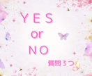 YES、NO解決します ペンギュラム、オラクルカードにて答えお伝えします イメージ1