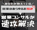法人向け|営業戦略の相談にのります 営業でお悩みの経営者、営業部長の相談にのります。 イメージ1