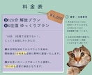 安心して気軽に話せる精神科看護師が、ここにいます ご家族やご友人も！専門は依存症治療◎他も幅広く相談可能です イメージ10