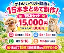 ペット写真1枚からAIリール動画15本作ります 写真1枚でOK！愛犬・愛猫がSNS動画の主役に イメージ7