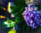 どんな写真もインスタ映えに加工いたします まるでプロのカメラマンが撮ったような画像に仕上げます イメージ5