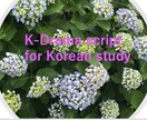 韓国ドラマの台本を提供いたします 韓国ドラマを本当の韓国語勉強の教材として使いましょう。 イメージ1