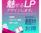 LPのデザイン、承ります イメージ通りのLPをあなたに！ イメージ1