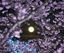 復縁成就✴︎白狐の霊視で、離れた縁を結び直します 音信不通でも復縁の可能性と、今動くべき道を視通します イメージ3