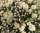 1分からでもOK♡あなたとの時間大切にします 仕事、恋愛、友達、子育て等あなたの気持ち、はき出して♡ イメージ3