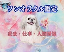 ワンオラクルカードで今の状況を読み解きます 恋愛・仕事・人間関係|このままでいいの?と思った時のミニ鑑定 イメージ1