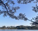 mama♪が頑張りすぎた心のお話、お聞きします 発達障害・不登校育児経験。支援員としても活動中。 イメージ6