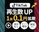 プロ技で自然にTikTok再生回数増やします ⭐️収益化を目指せる・減少なし・超高品質再生回数15000～ イメージ1