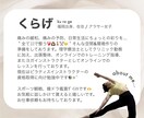 オンラインで姿勢改善&パーソナルトレーニングします からだの専門家(理学療法士)が身体のお悩み解決！ イメージ3
