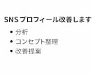 SNSプロフィールを改善/伸びない原因を改善します フォロワーが増えない理由を徹底解明 イメージ2