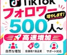 TikTokフォロワー500人～増やします 高速増加！減少率15%！オプションで人数の追加も可能です✨ イメージ1