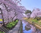 相談したい！！雑談したい♪その願いお供します 誰かに話を聞いてもらうことでスッキリしちゃいましょう！ イメージ4