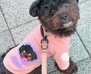 うちの子の「オリジナルワッペン」作成します 愛犬のオリジナルワッペンを作成！ イメージ9