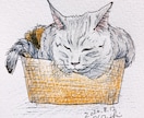 猫ちゃんのイラスト絵を手描きで描きます 猫ちゃんのお写真からわたくしが手描きでイラスト絵を描きます イメージ6