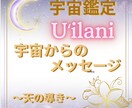 宇宙からのサイン:数字や生物で未来へ導きます 恋愛でお悩みの方へ数字と自然界のサインから流れを読み解きます イメージ1