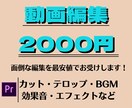 格安での動画編集(PremierePro)をします めんどうな動画編集を全て任せてください！ イメージ1
