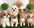 愛犬の羊毛フェルト作ります オーダーメイド実績300体以上の作家が真心込めて作ります。 イメージ2