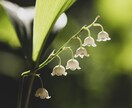 ちょこっと話したい。そんな時何でもお話聞きます あなたとだけの時間です。思いつくまま、楽ーにお話しましょ イメージ7