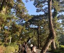 理想の国内の旅行計画を立てます 地理検定上級の知識を活かし、最高の旅行計画をお作りします！ イメージ9