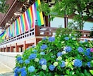京都の四季の写真を提供します 京都の癒される四季折々の写真を！ イメージ2