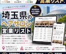 営業しやすい埼玉県のヘアサロンリストを売ります インスタ運用・Web制作・LINE構築向け厳選リスト① イメージ1