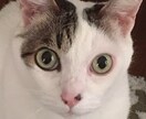 お話しお聞きします お悩み、吐き出し口がない心のモヤモヤここで晴らしましょう イメージ1