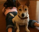 不安な育犬生活を共に整えます 叱れない・褒められない日々の葛藤に寄り添います イメージ1